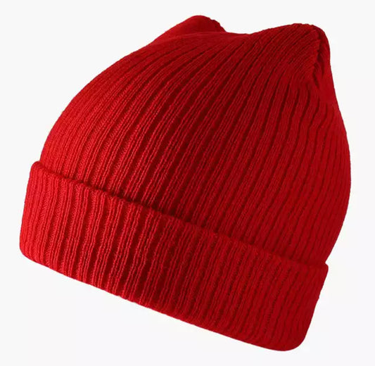 Basic Beanie