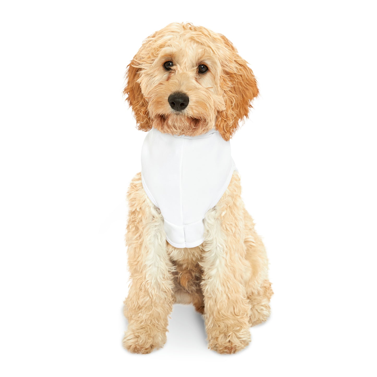 Pet Grinch Finger Hoodie
