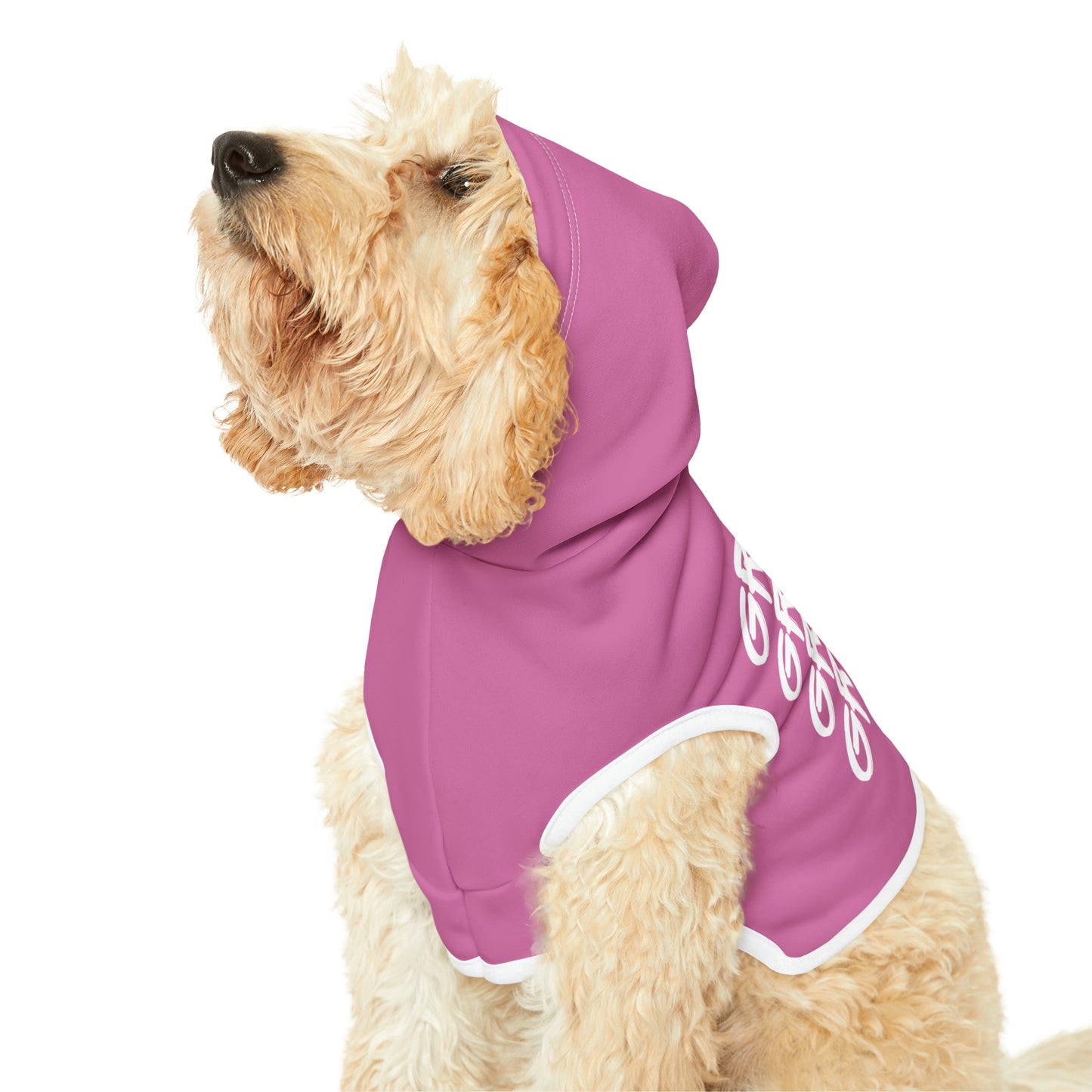 Pet Grinch Graffiti Hoodie