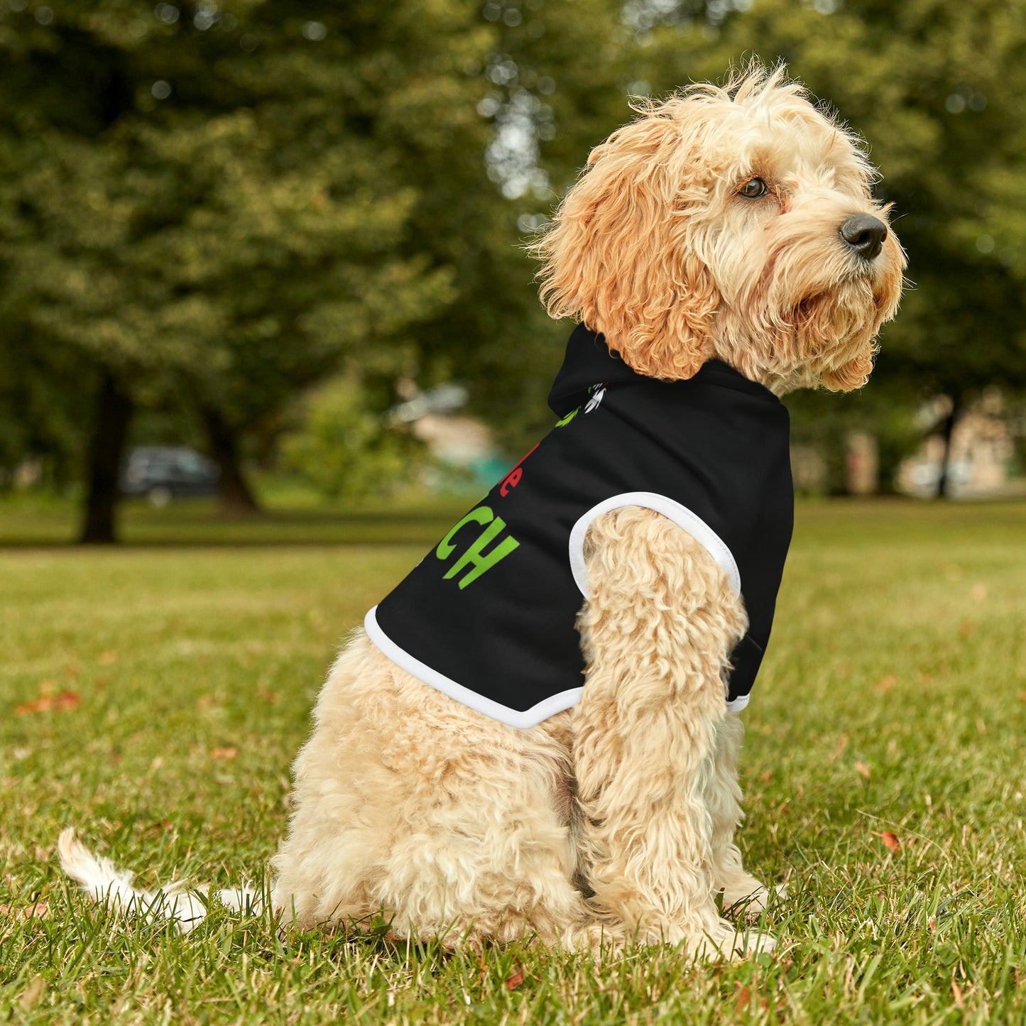 Little Grinch Pet Hoodie