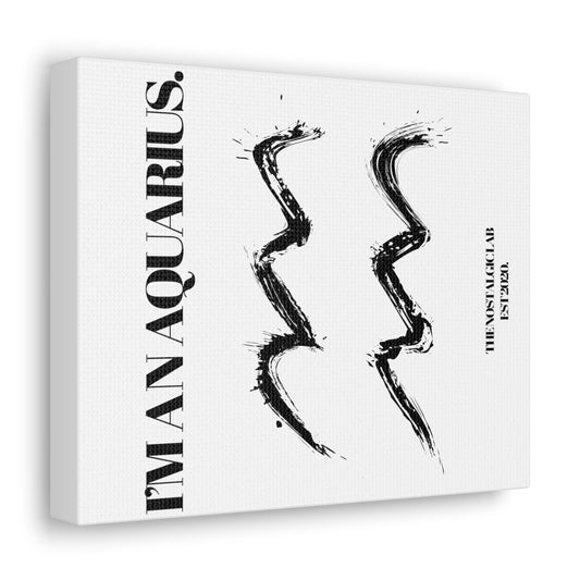I'M AN AQUARIUS Gallery Canvas