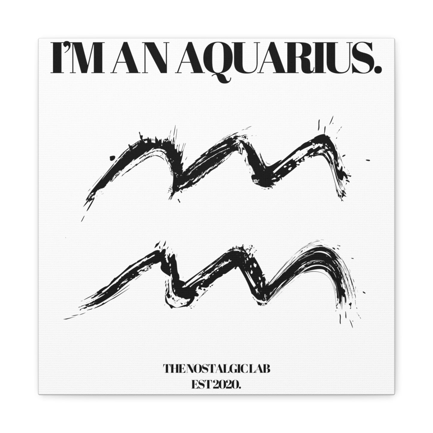 I'M AN AQUARIUS Gallery Canvas