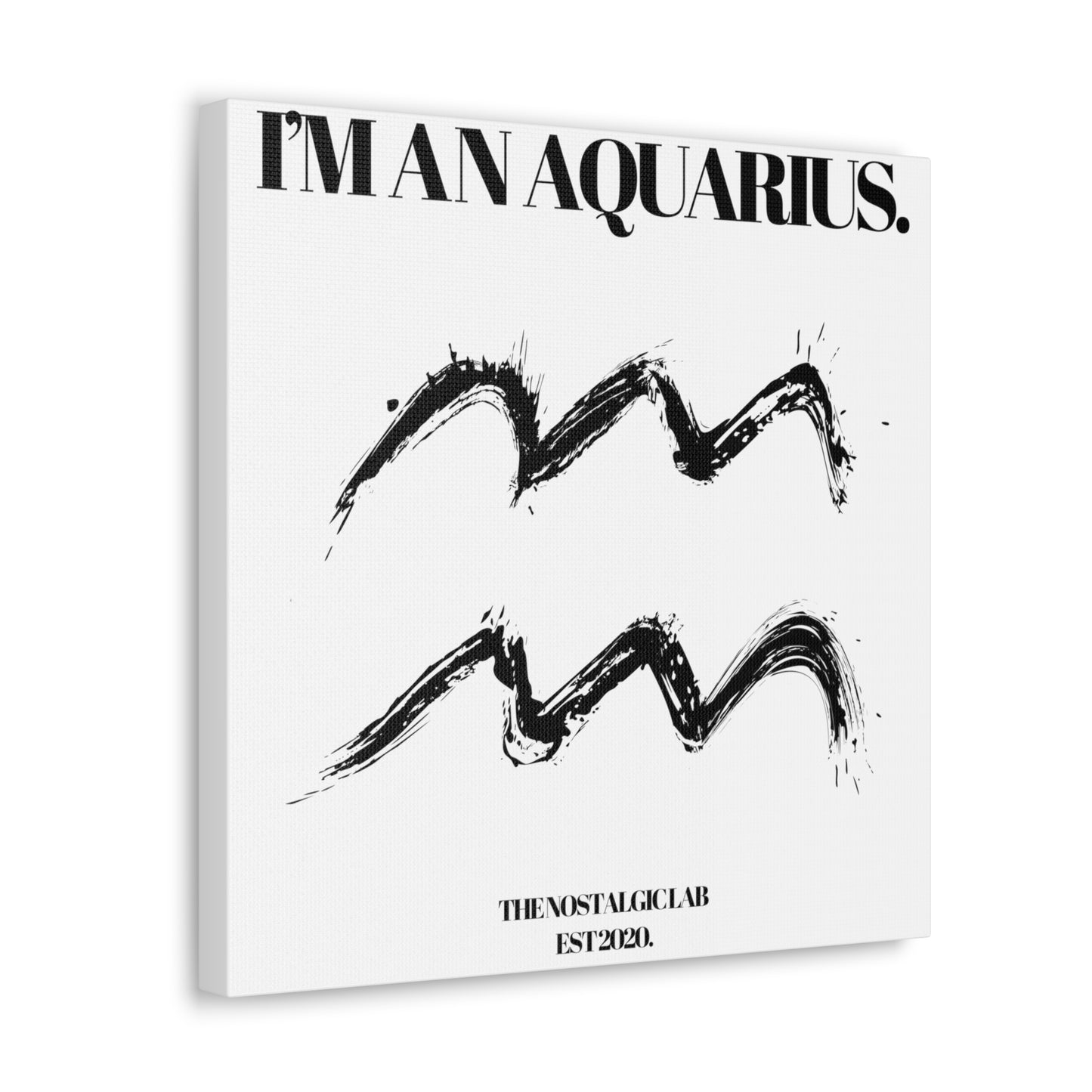 I'M AN AQUARIUS Gallery Canvas