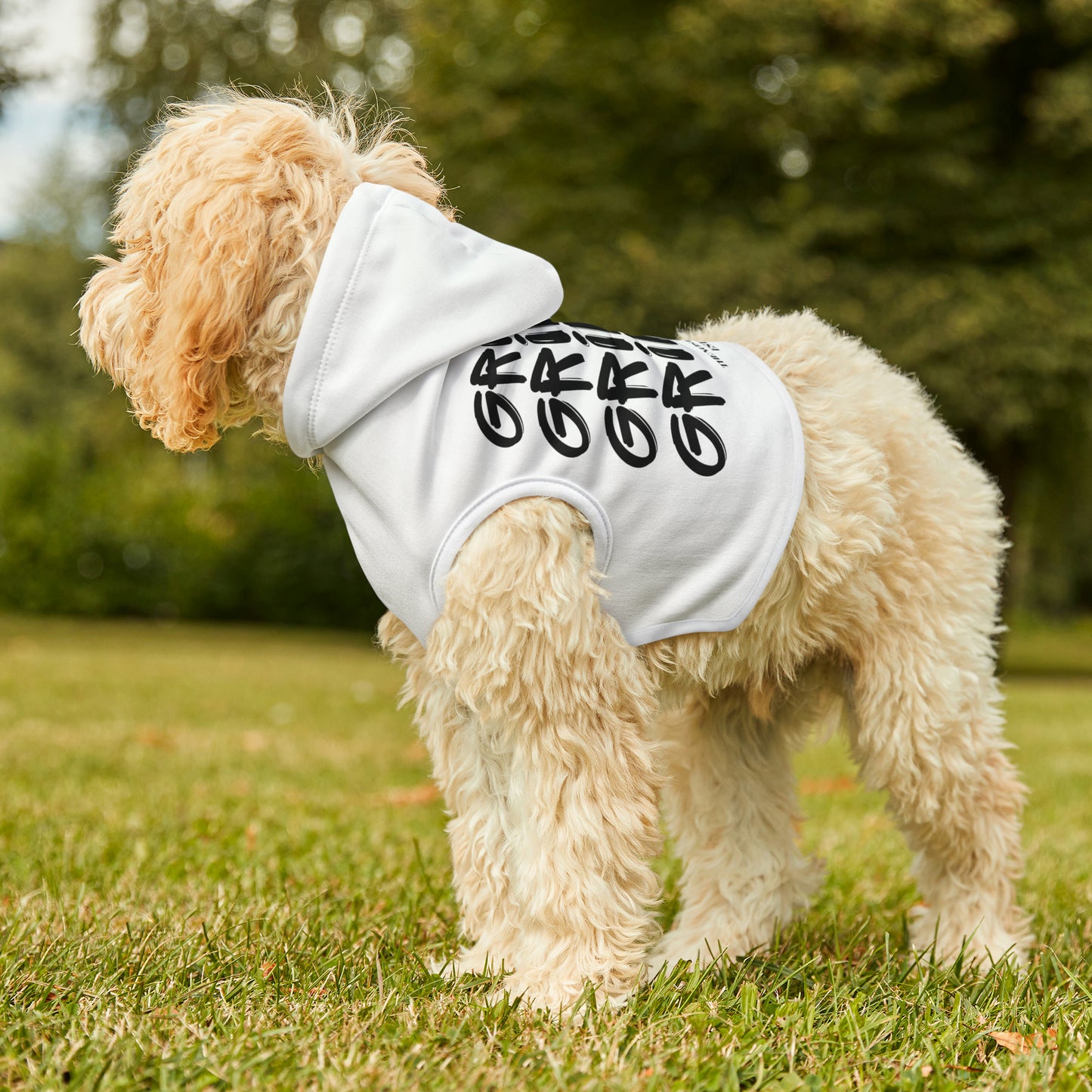 Pet Grinch Graffiti Hoodie