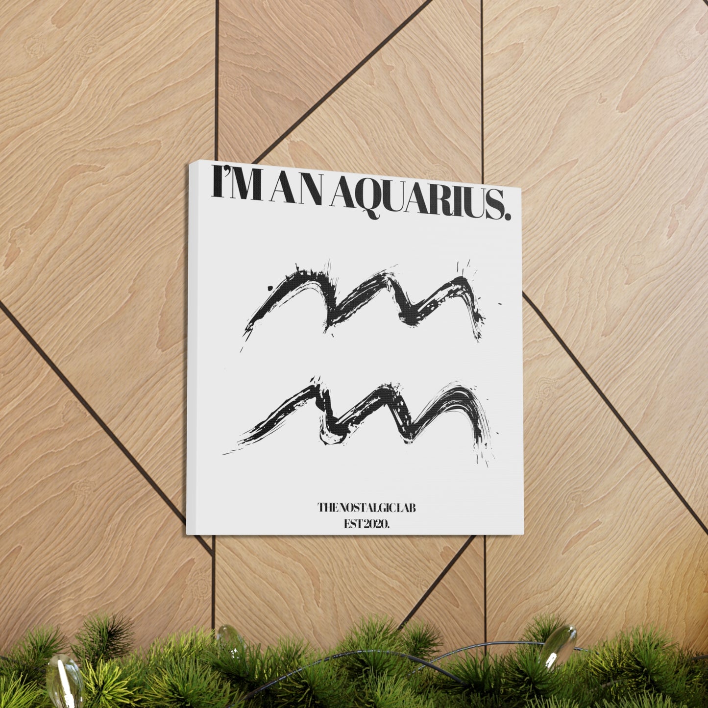 I'M AN AQUARIUS Gallery Canvas