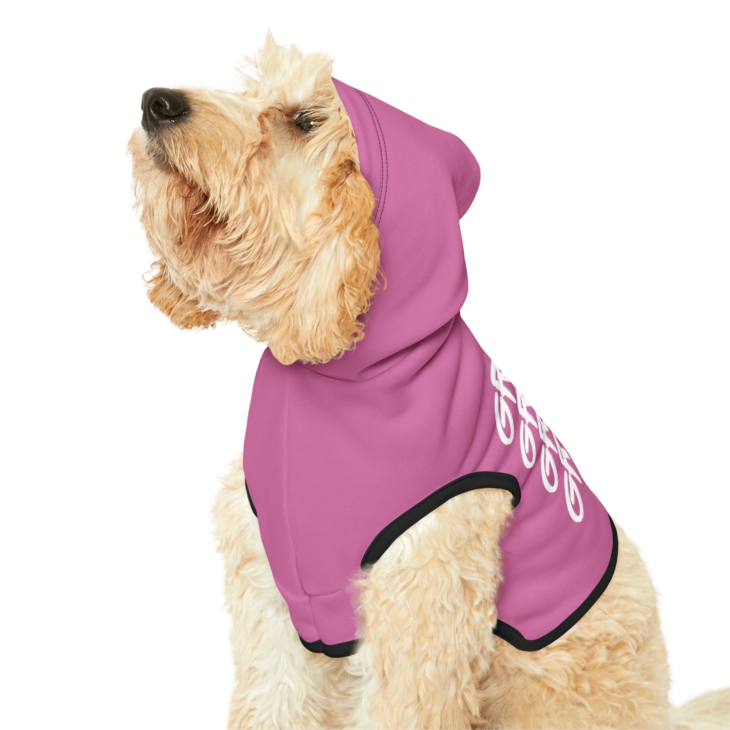 Pet Grinch Graffiti Hoodie