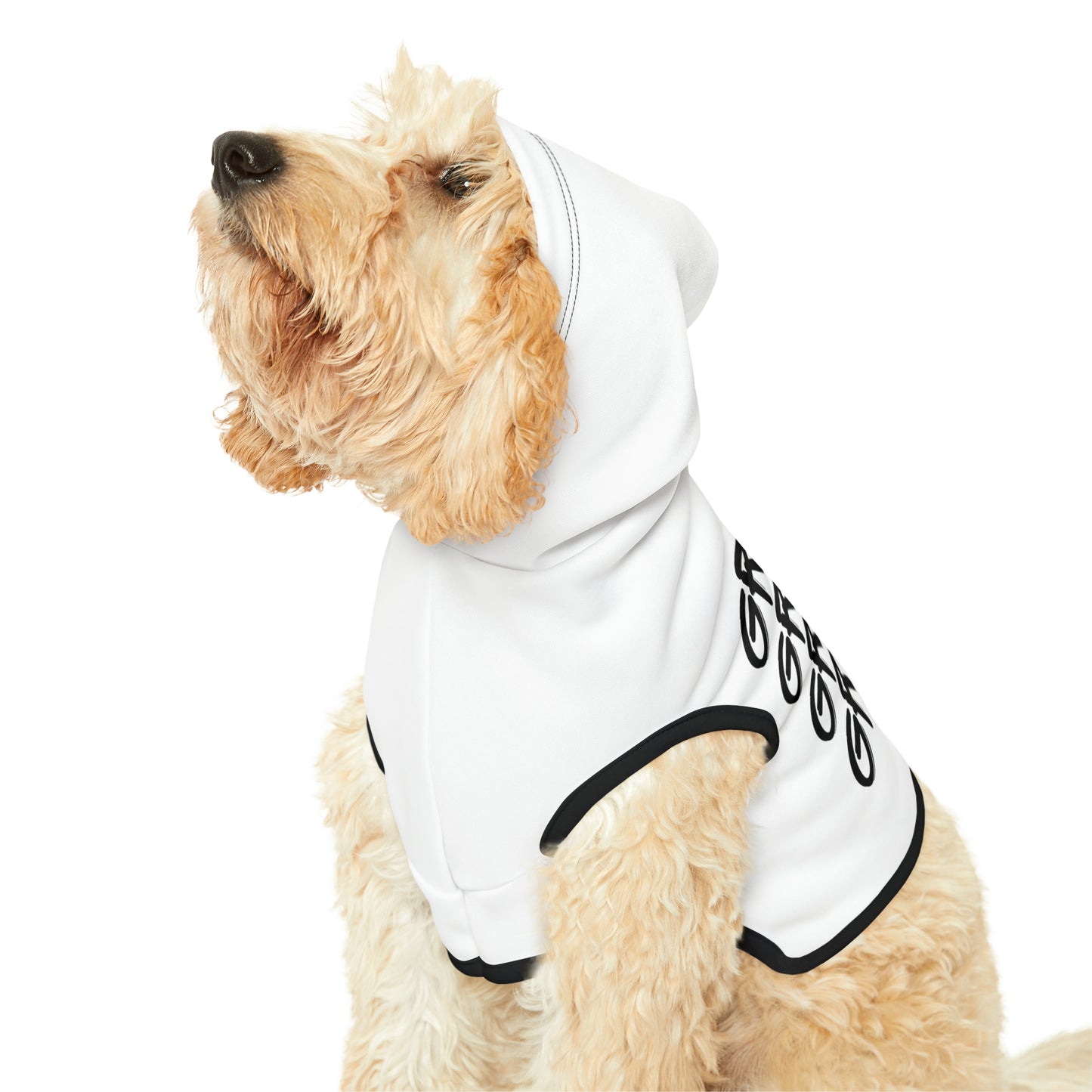 Pet Grinch Graffiti Hoodie