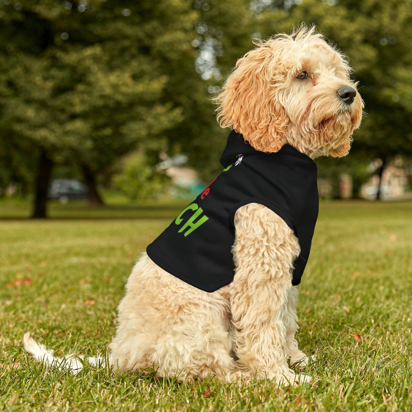 Little Grinch Pet Hoodie