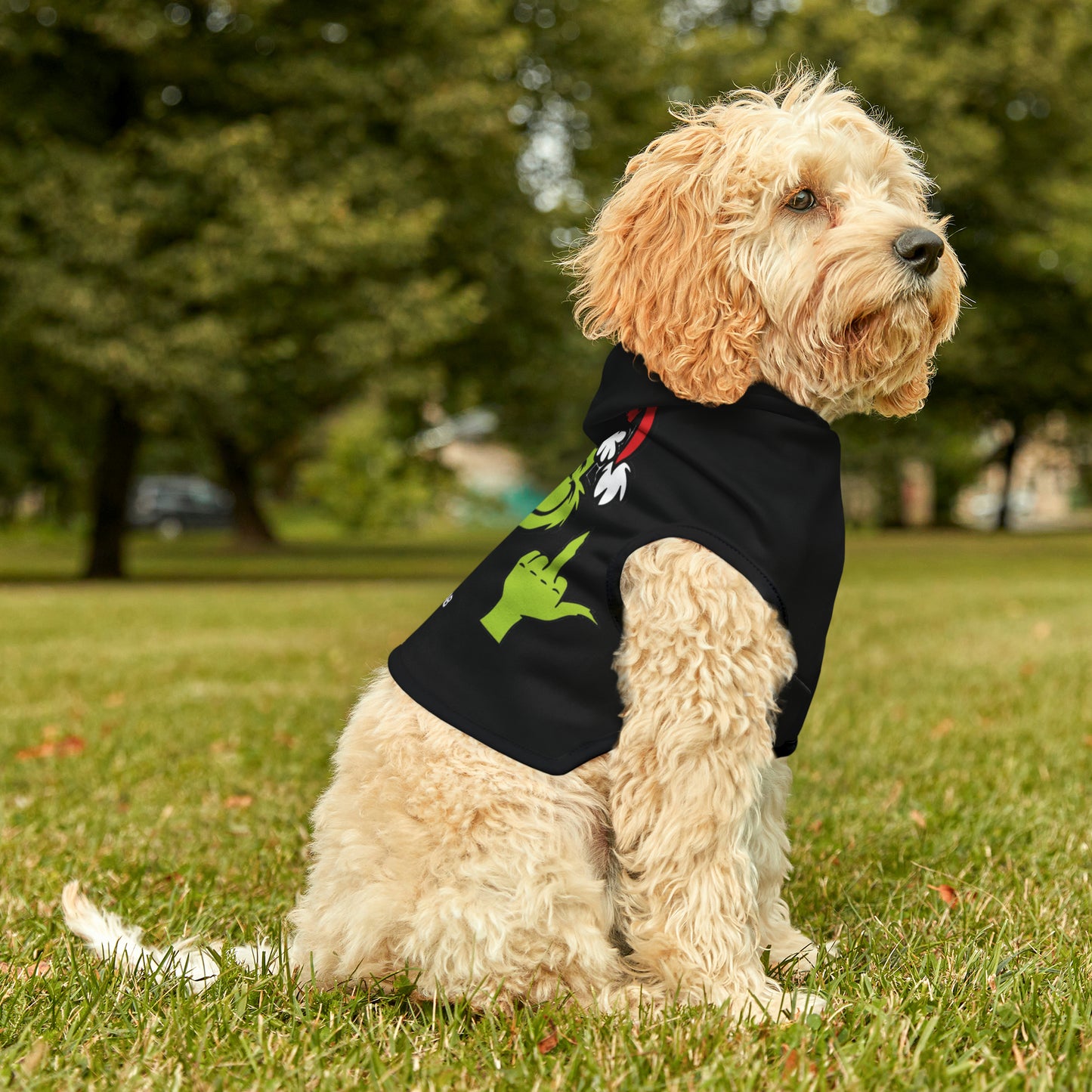 Pet Grinch Finger Hoodie