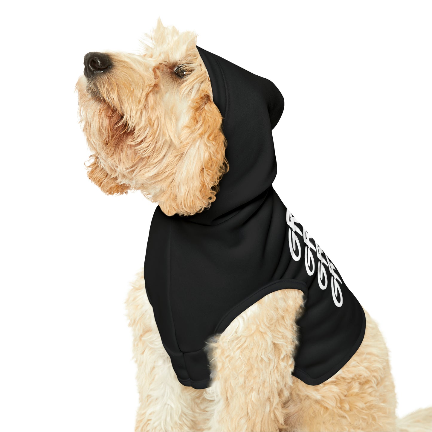 Pet Grinch Graffiti Hoodie
