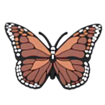 Big Nude Butterfly Croc Klip